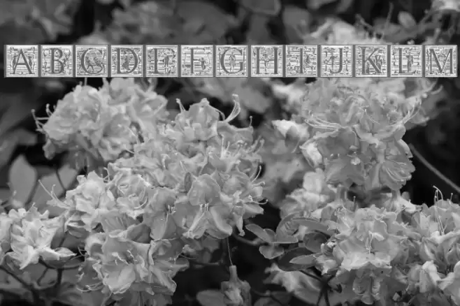 Picto Glyphs Font examples