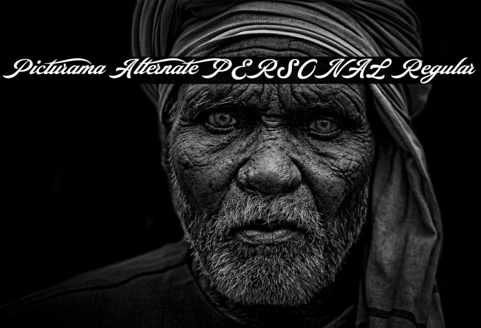 Picturama Alternate PERSONAL Regular Example 3