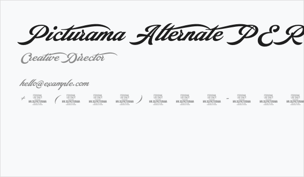 Picturama Alternate PERSONAL Regular Business Card