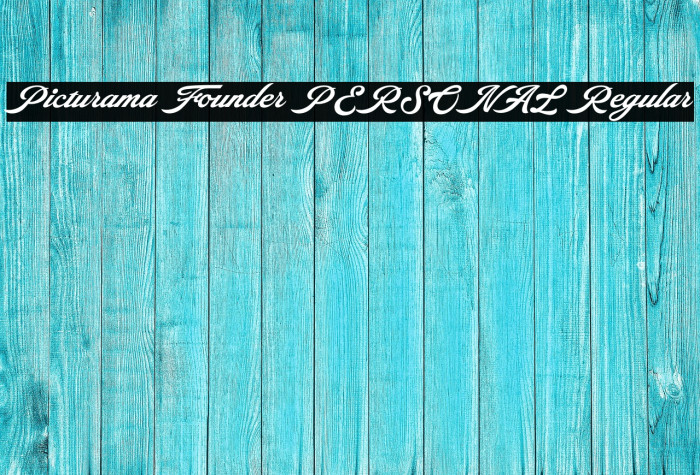 Picturama Founder PERSONAL Regular Example 2