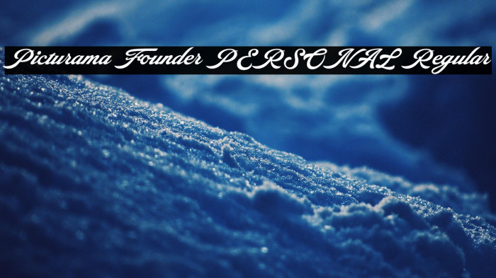 Picturama Founder PERSONAL Regular Example 3