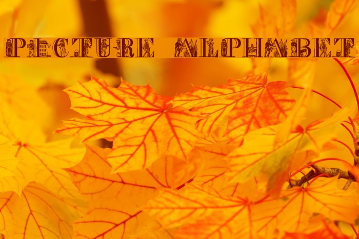 Picture Alphabet Font examples