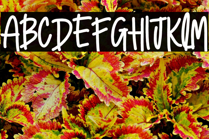 Picture Book Example 2