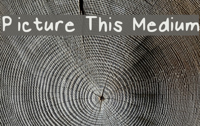 Picture This Medium Font examples