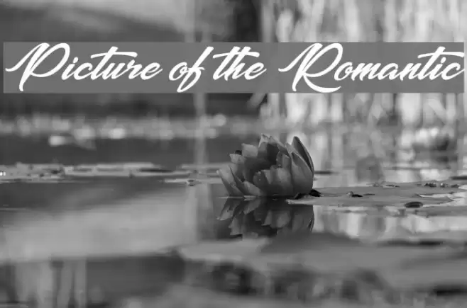 Picture of the Romantic Font examples