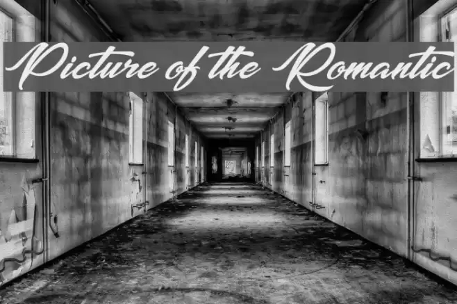 Picture of the Romantic Font examples