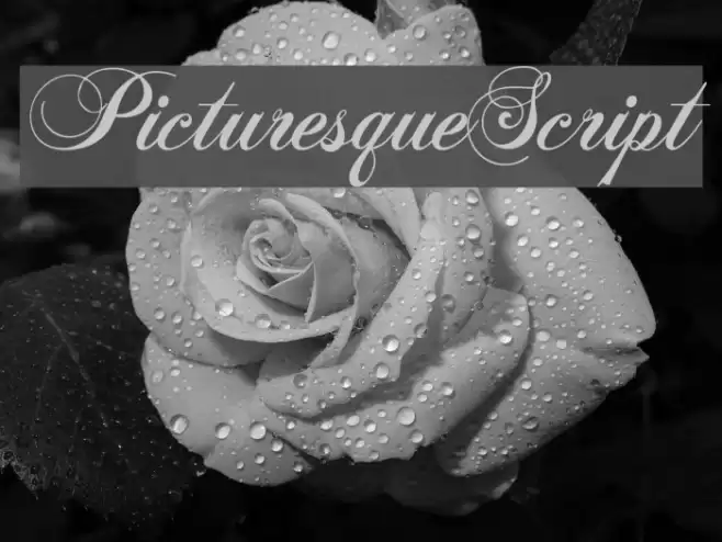 PicturesqueScript Font examples
