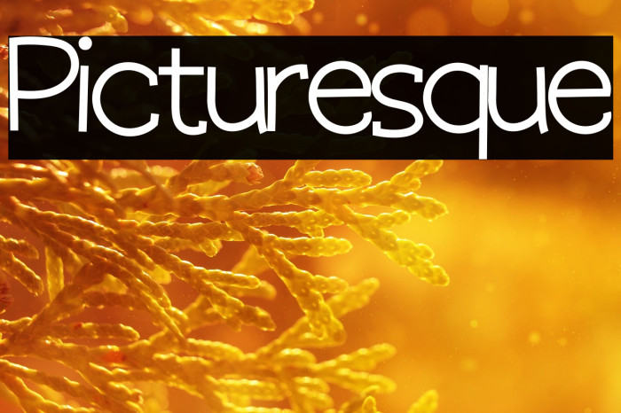 Picturesque Example 1