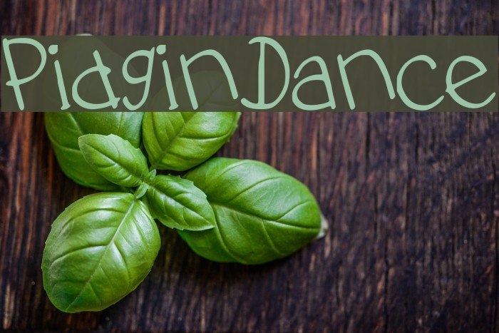 PidginDance Font examples