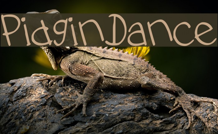 PidginDance Font examples