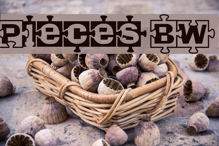 Pieces BW Font examples