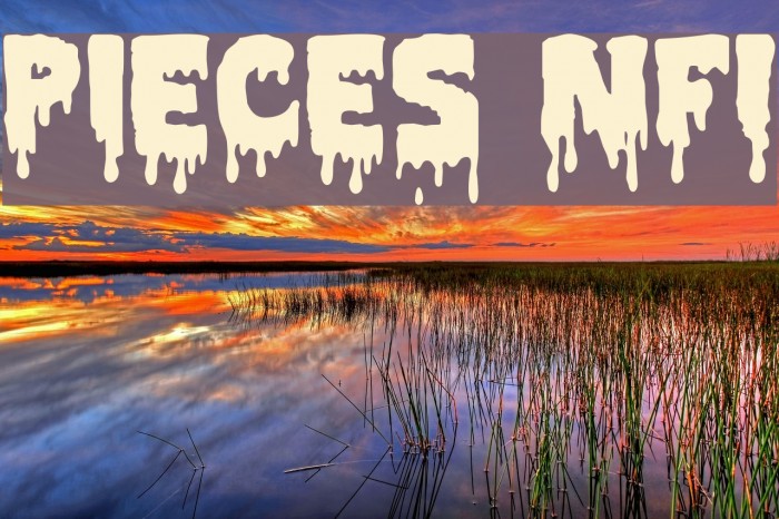 Pieces NFI Font examples