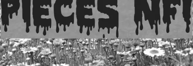 Pieces NFI Font examples