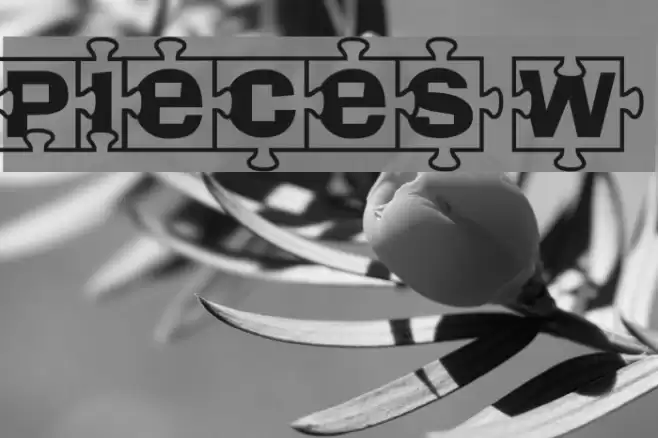 Pieces W Font examples