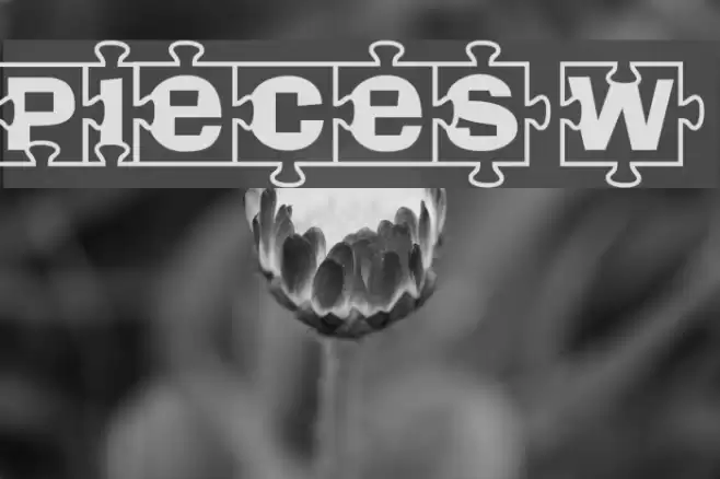 Pieces W Font examples