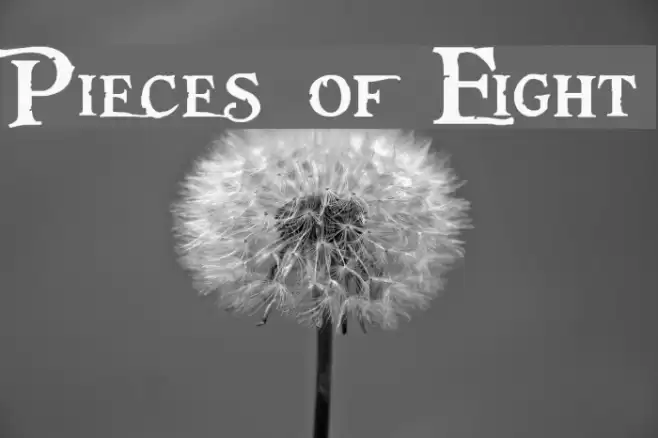 Pieces of Eight Fonte examples