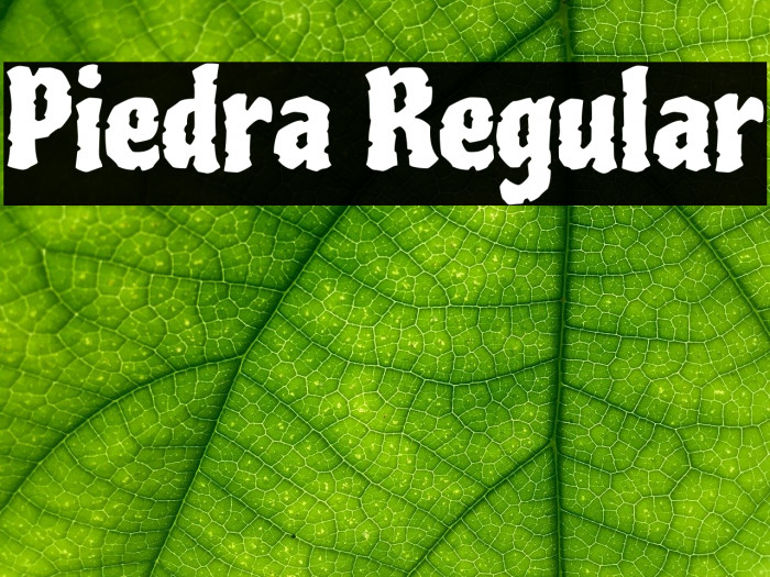 Piedra Regular Font examples
