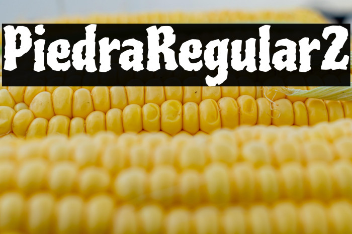 Piedra-Regular2 Example 2