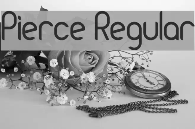 Pierce Regular Font examples