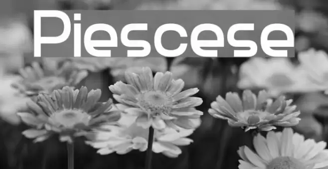 Piescese Font examples