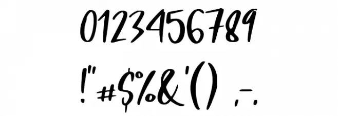 Pig Year Display Font OTHER CHARS