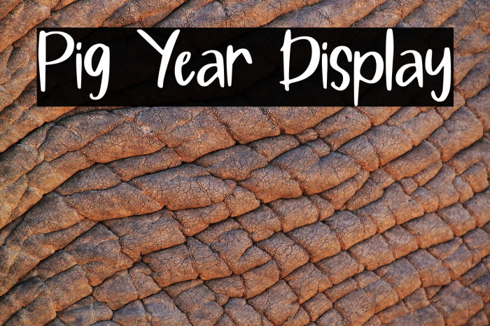 Pig Year Display Fuentes examples