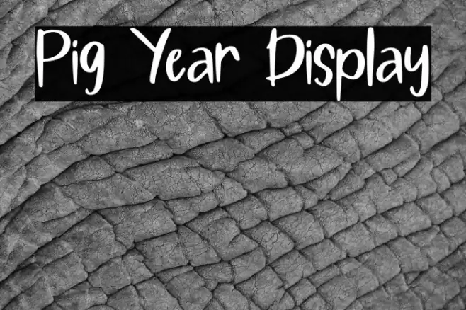 Pig Year Display Font examples