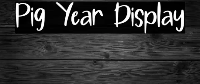 Pig Year Display Font examples