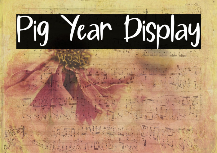 Pig Year Display Fuentes examples