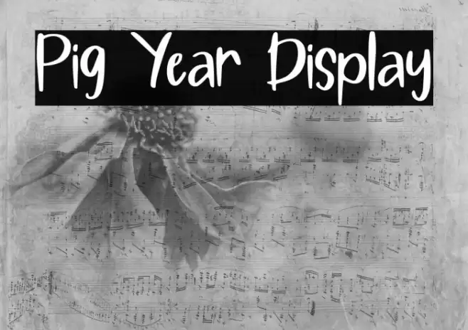Pig Year Display Font examples