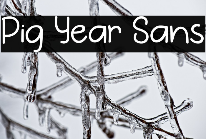 Pig Year Sans Font examples