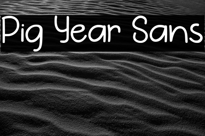 Pig Year Sans Font examples