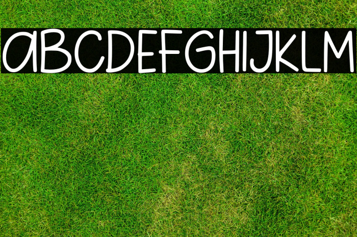 Pig Year Sans Font examples