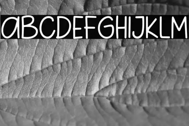 Pig Year Sans Font examples