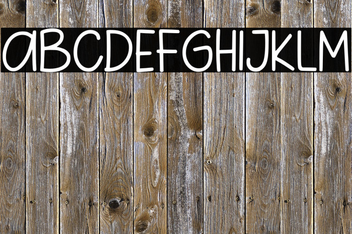 Pig Year Sans Font examples