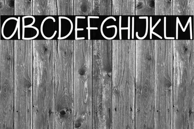 Pig Year Sans Font examples