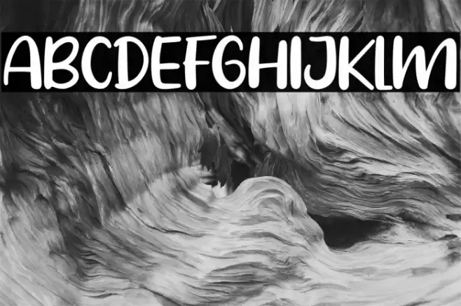 Pig Year Font examples