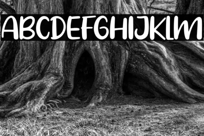 Pig Year Font examples