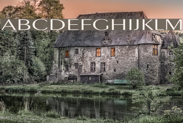 PigNoseTyp Example 2