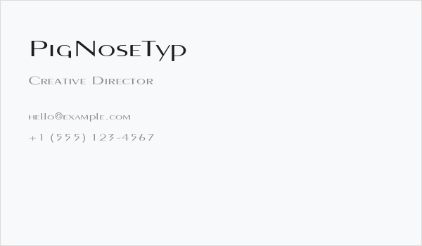 PigNoseTyp Business Card