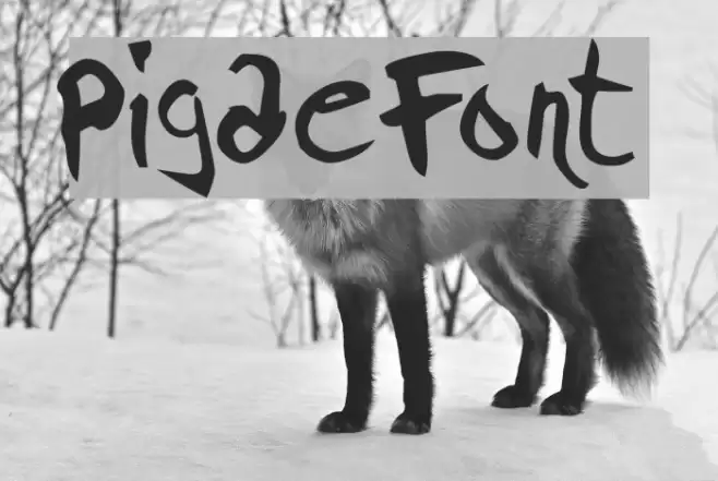Pigae Font examples