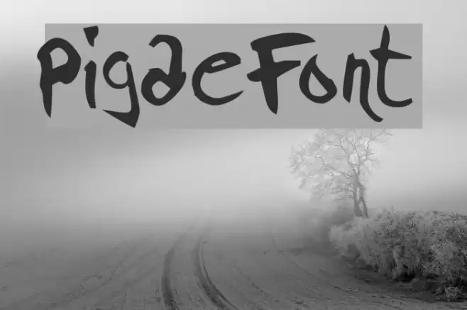 Pigae Font examples