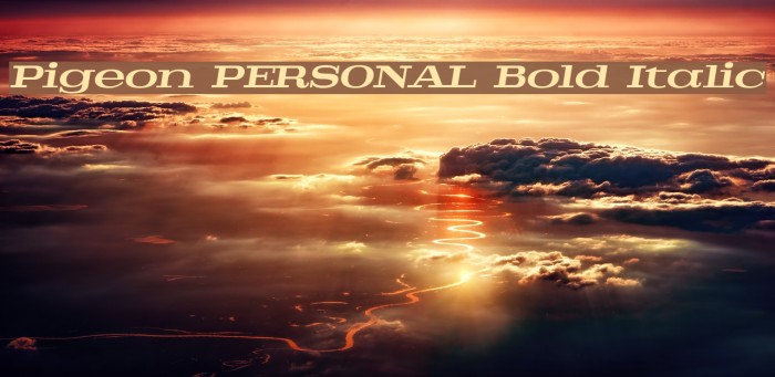 Pigeon PERSONAL Bold Italic Font examples