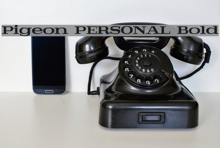 Pigeon PERSONAL Bold Font examples
