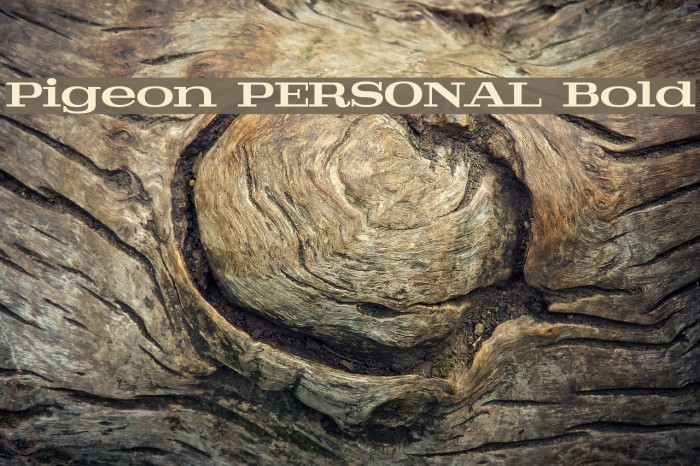 Pigeon PERSONAL Bold Font examples