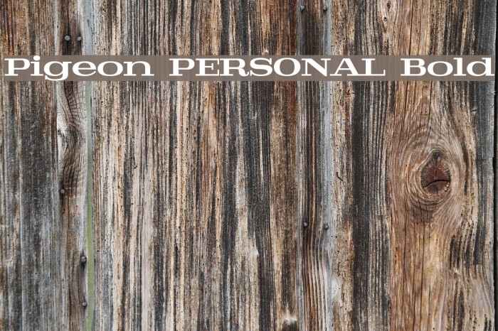 Pigeon PERSONAL Bold Font examples