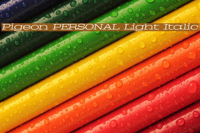 Pigeon PERSONAL Light Italic Example 1
