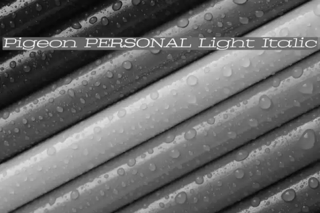 Pigeon PERSONAL Light Italic Font examples