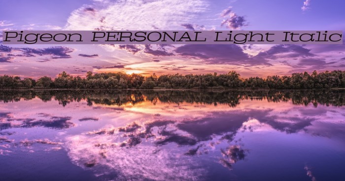 Pigeon PERSONAL Light Italic Example 2