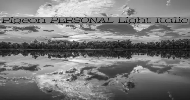 Pigeon PERSONAL Light Italic Font examples